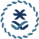 Local Content and Government Procurement
